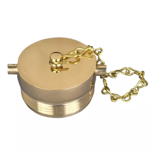 2 1/2 in. NPSH Dixon Brass Plug & Chain - Pin Lug