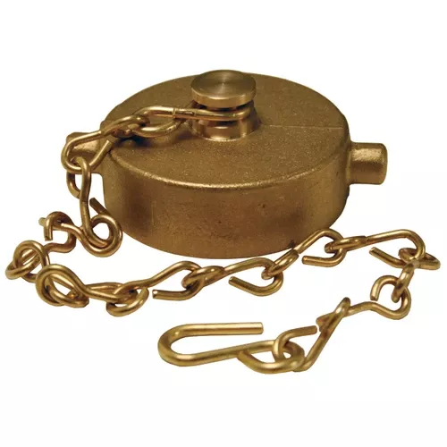 3 in. NPSH Dixon Brass Cap & Chain - Pin Lug