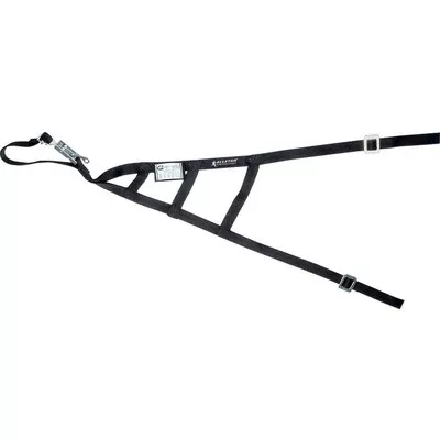 Allstar SFI Triangle Window Net