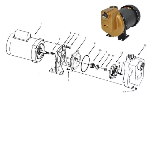 AMT 2105-031-00 Teflon O-Ring | OEM PTFE Pump Seal Replacement