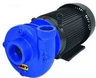 AMT 424095 Heavy Duty Cast Iron Straight Centrifugal Pump