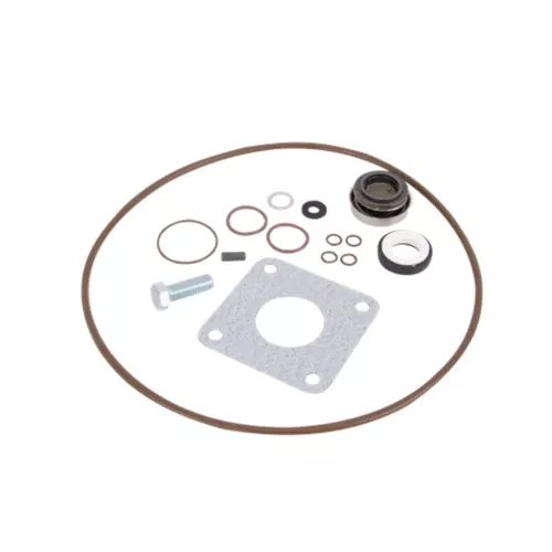 Banjo 222 Series 2" Cast Iron Pump Seal Kit - FKM