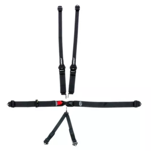 Impact 6-Point Latch & Link V-Type Harness