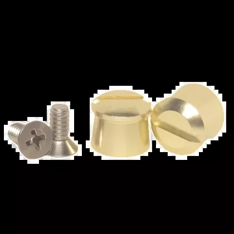 Pulse Aluminum Tear Off Posts - Gold