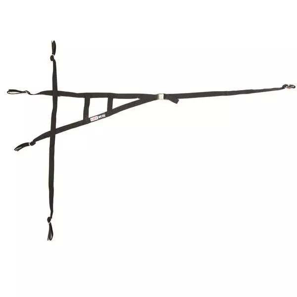 RaceQuip Roll Cage Net - Black