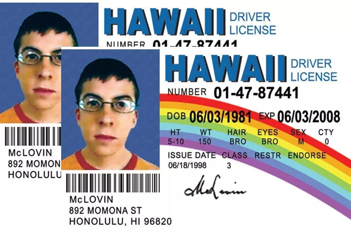 Signs 4 Fun McLovin Driver's License Replica - Plastic Novelty ID (2 Pack)